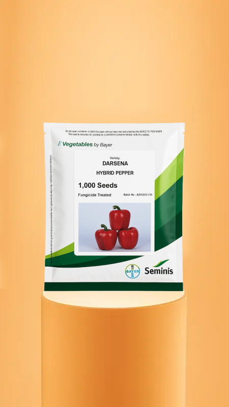 فلفل قرمز دارسنا