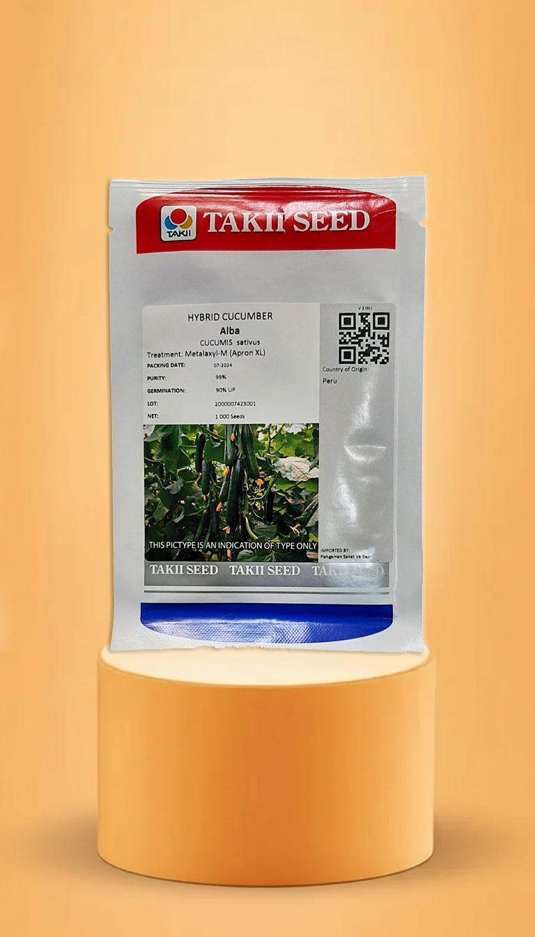 خیار گلخانه ای آلبا