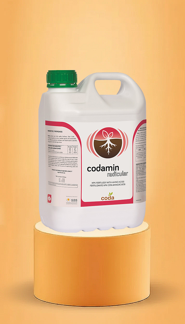 ریشه زا کدامین رادیکولار