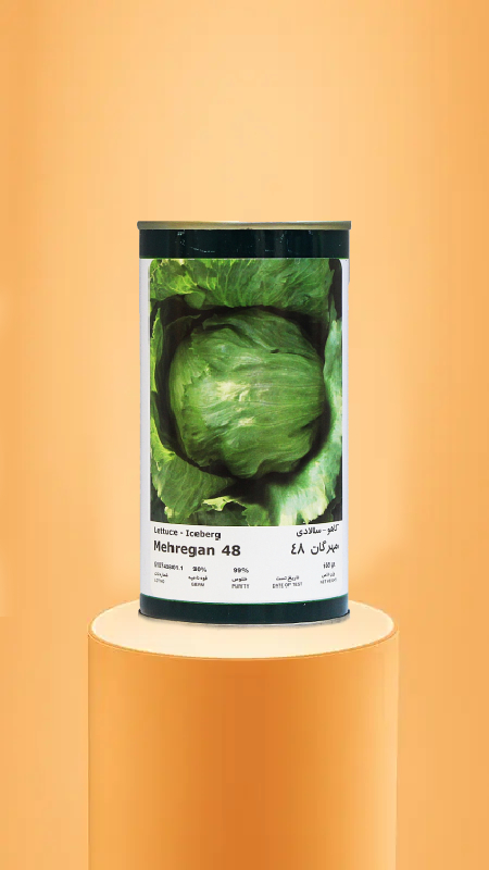 کاهو مهرگان 48