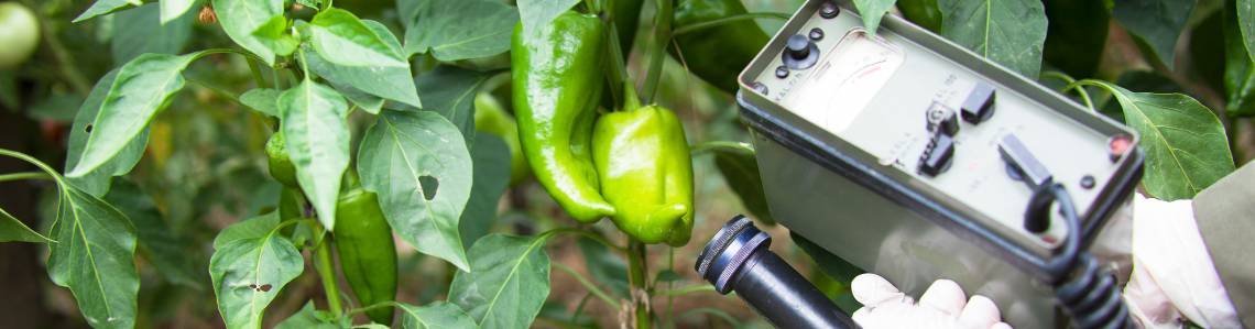 پرتودهی به محصولات کشاورزی