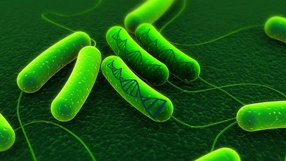 استفاده از باکتری EM در کشاورزی