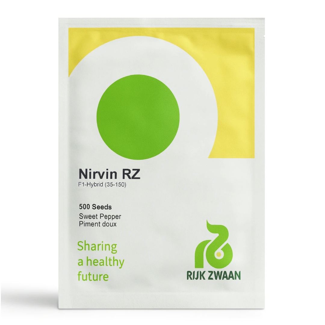 بذر فلفل دلمه قرمز نیروین رکزوان هلند