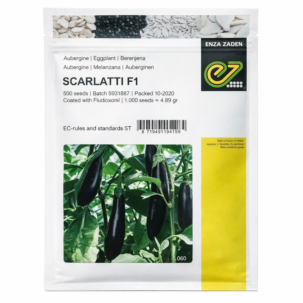 بذر بادمجان قلمی اسکارلتی انزازادن