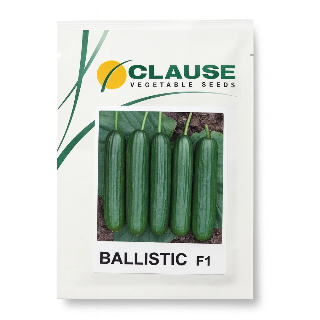 بذر خیار گلخانه ای بالستیک کلوز فرانسه