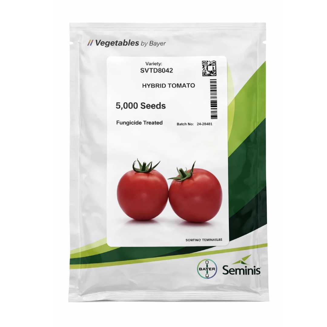 بذر گوجه 8042 سمینیس