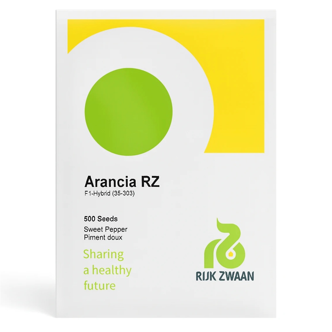 بذر فلفل دلمه نارنجی آرانکیا رکزوان هلند