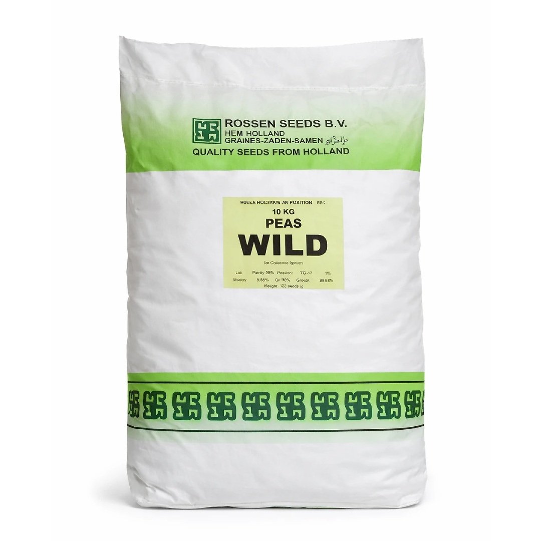 بذر نخود فرنگی وایلد روزن سیدز